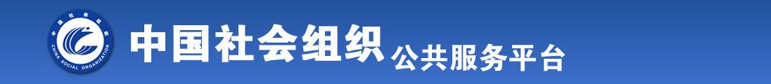 美女被人插全国社会组织信息查询